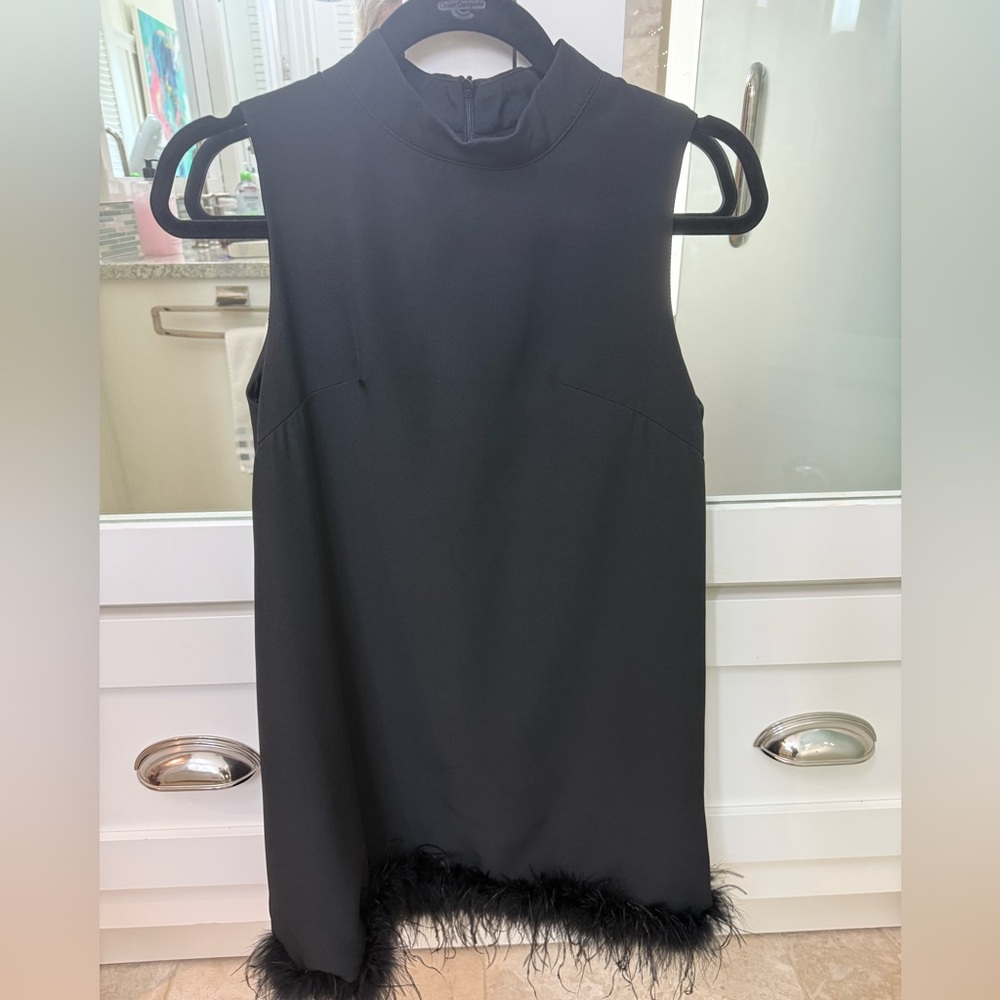 Black Mini Dress with Feather Detail